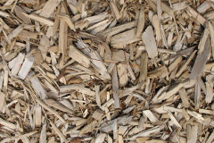 biomass boilers Sellibister