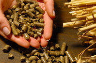 free Sellibister biomass boiler quotes